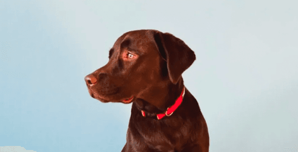 insurance_data.package.small.tagline