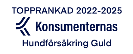 Konsumenternas