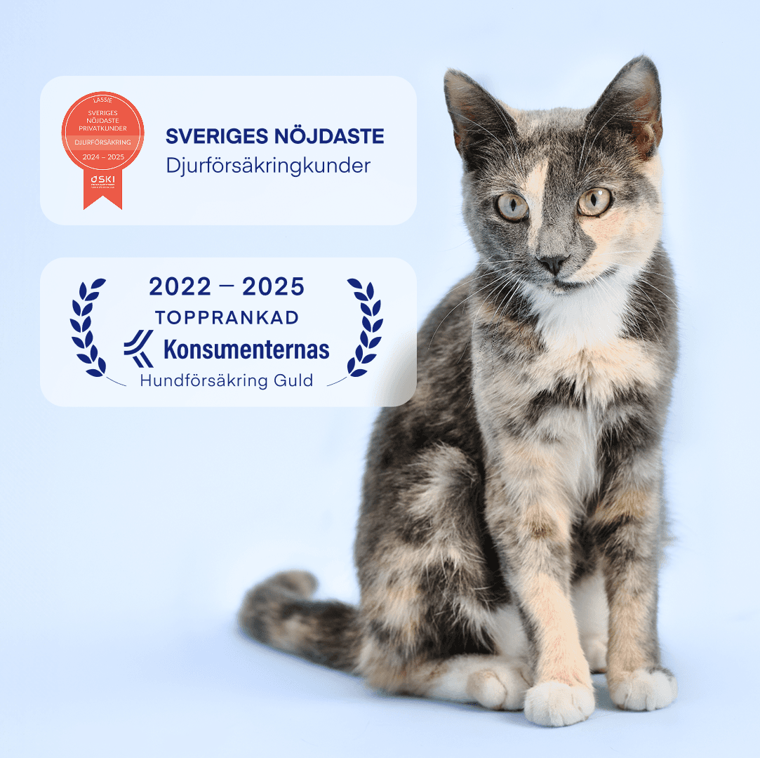 SE: SKI + konsumenternas