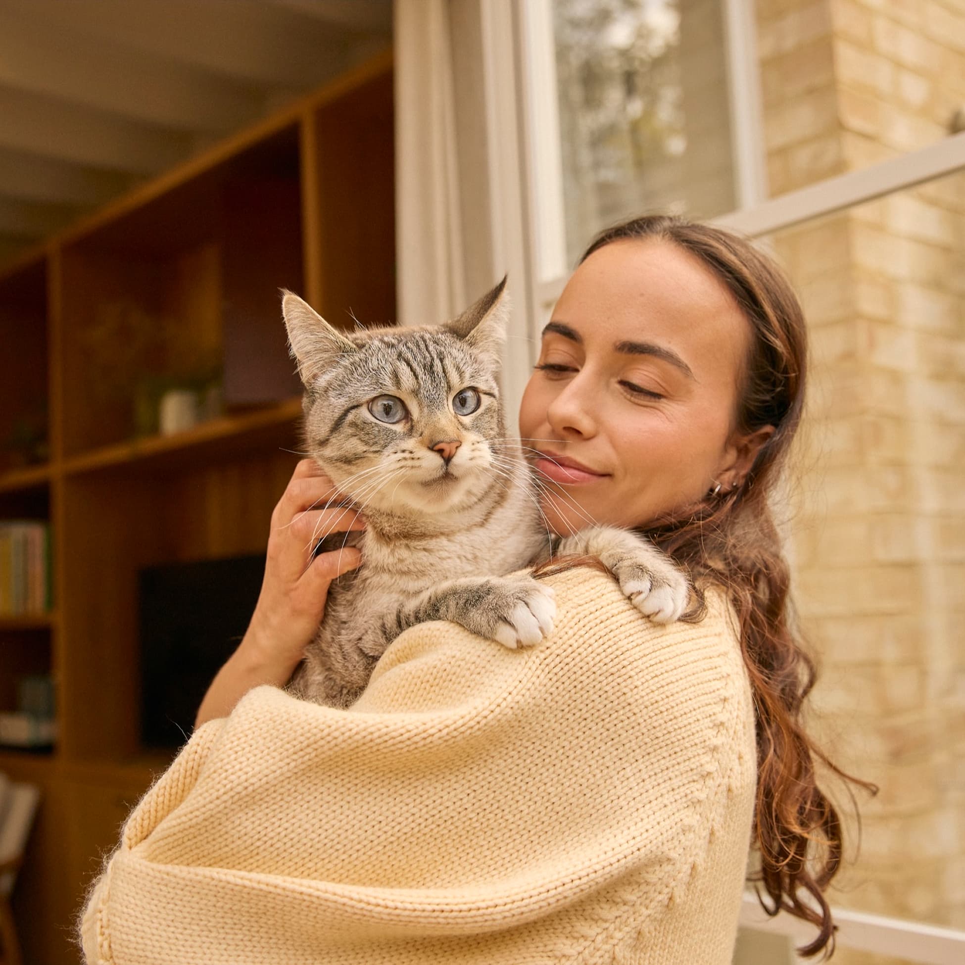 Lassie NEW IMAGES - S05 774