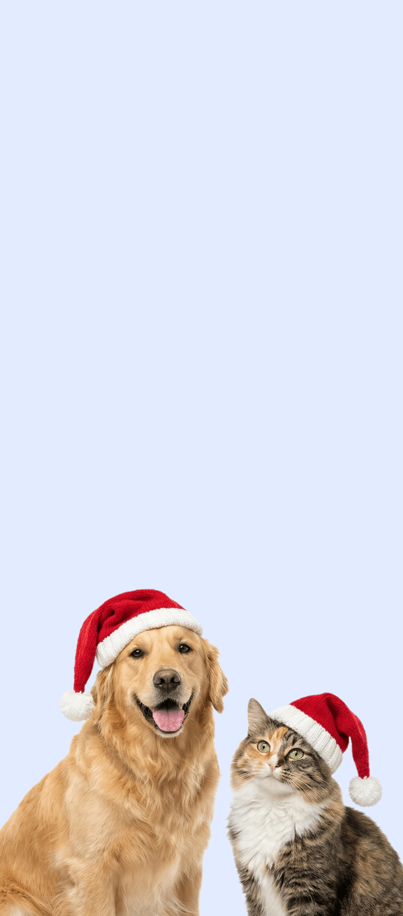 Kampagne Tierheim Berlin 2025 (Hero)