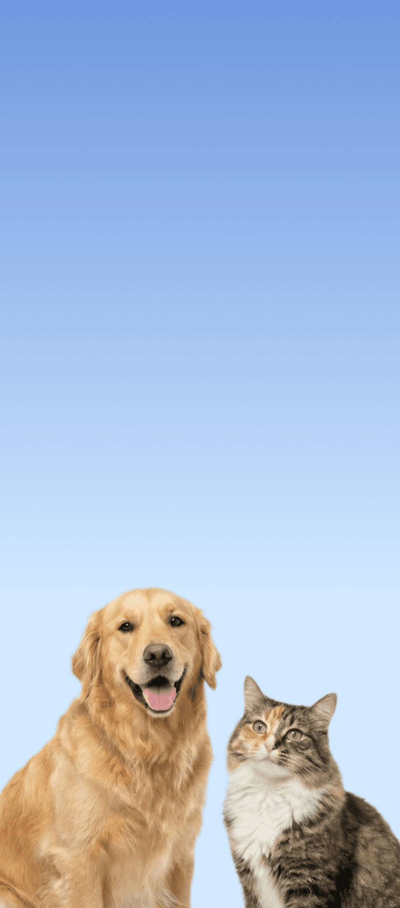 Shelter Donation Evergreen Landing Page Header Mobile 793x1800