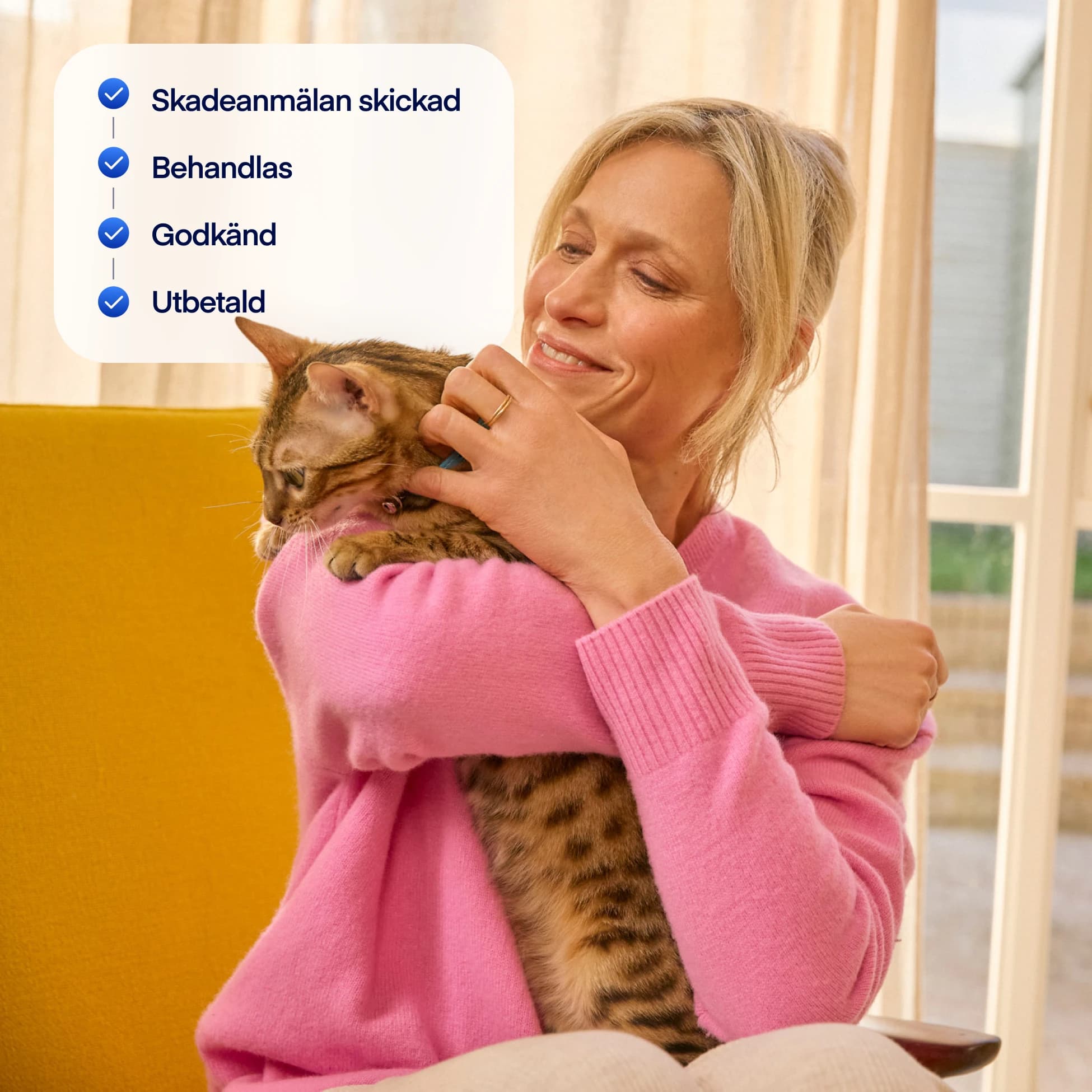 NEW claims overlay for cats SE