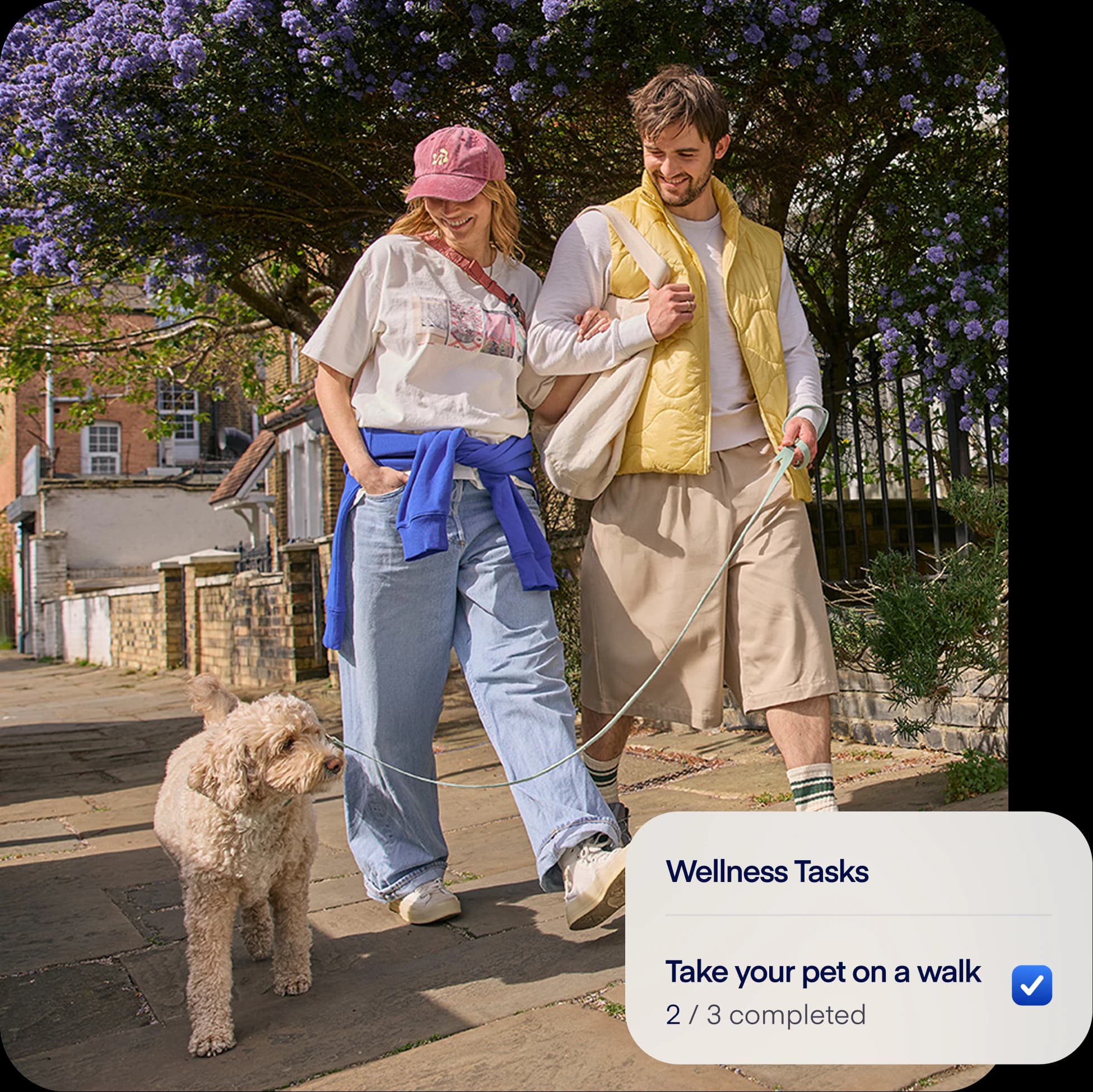 UK-NEW-photo-tasksoverlay-dog1