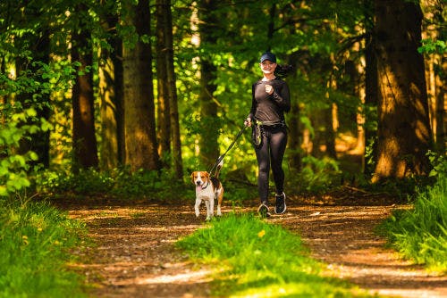 How to start running training with your dog