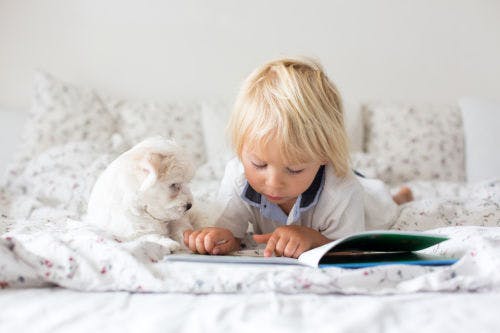 How to create a safe relationship between child and dog