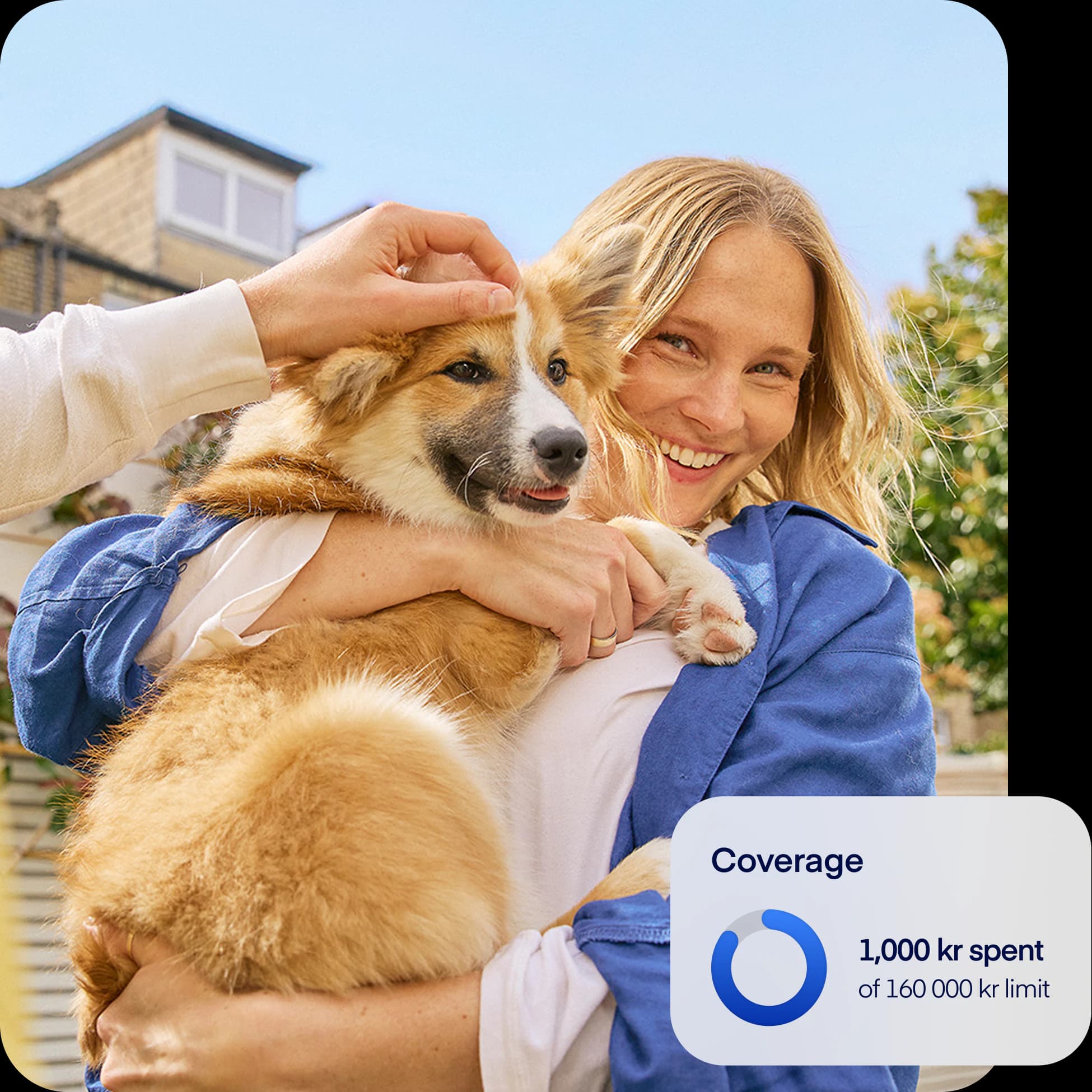 FR-NEW-photo-coverage-overlay-dog