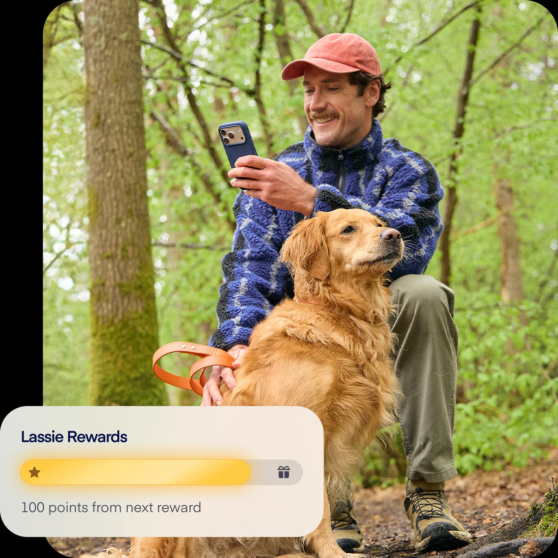NEW-photo-reward-overlay-dog