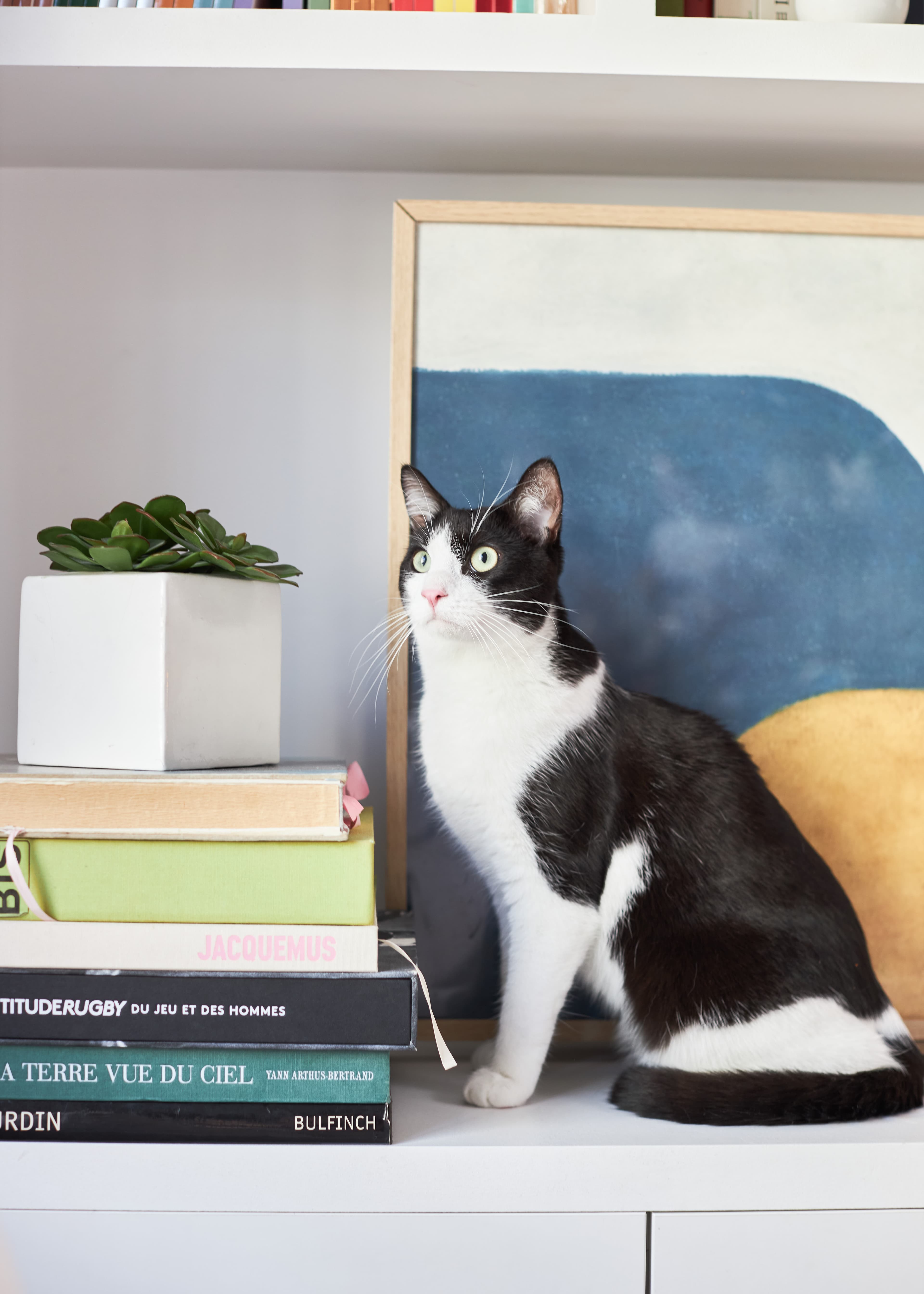 AdobeStock 25682997