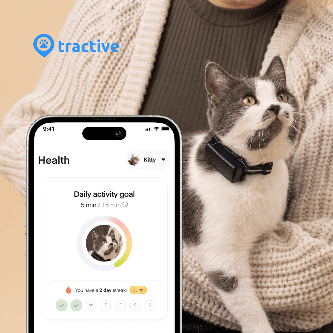 Swe: Tractive Cat