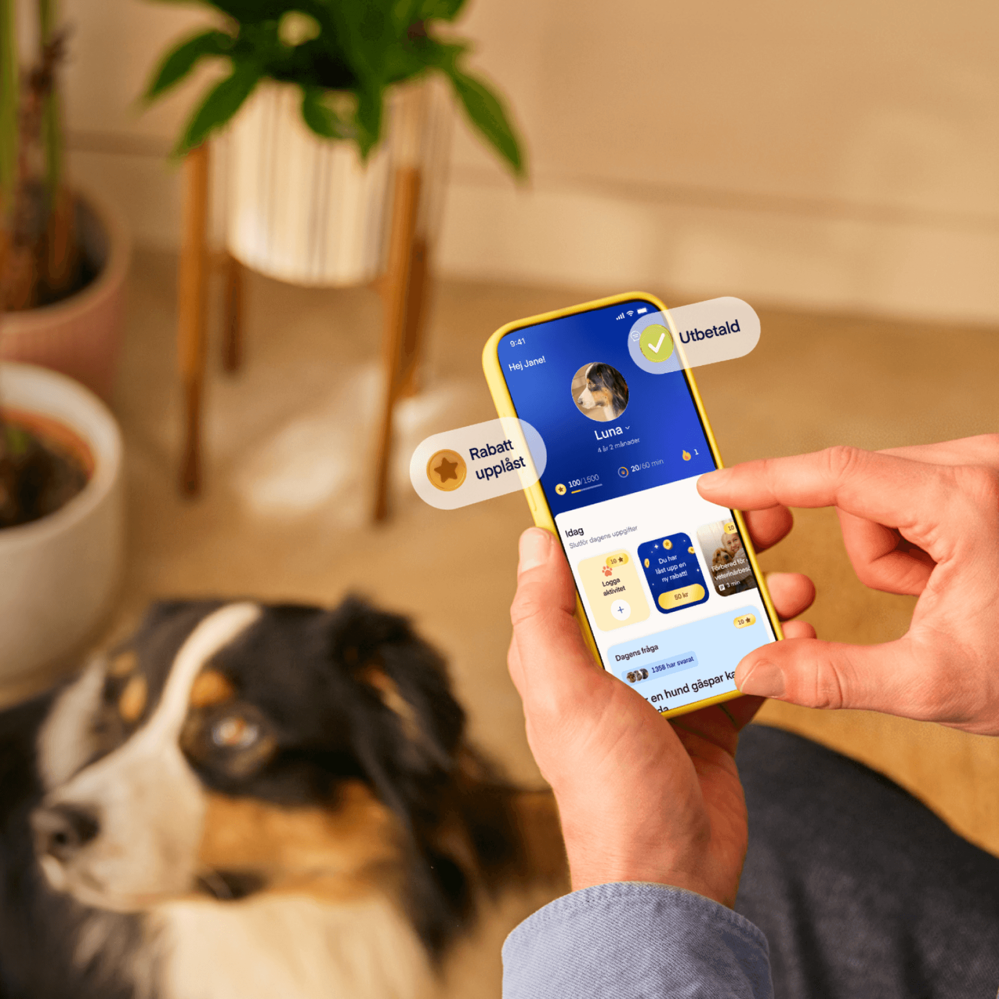 NEW photo app - swedish