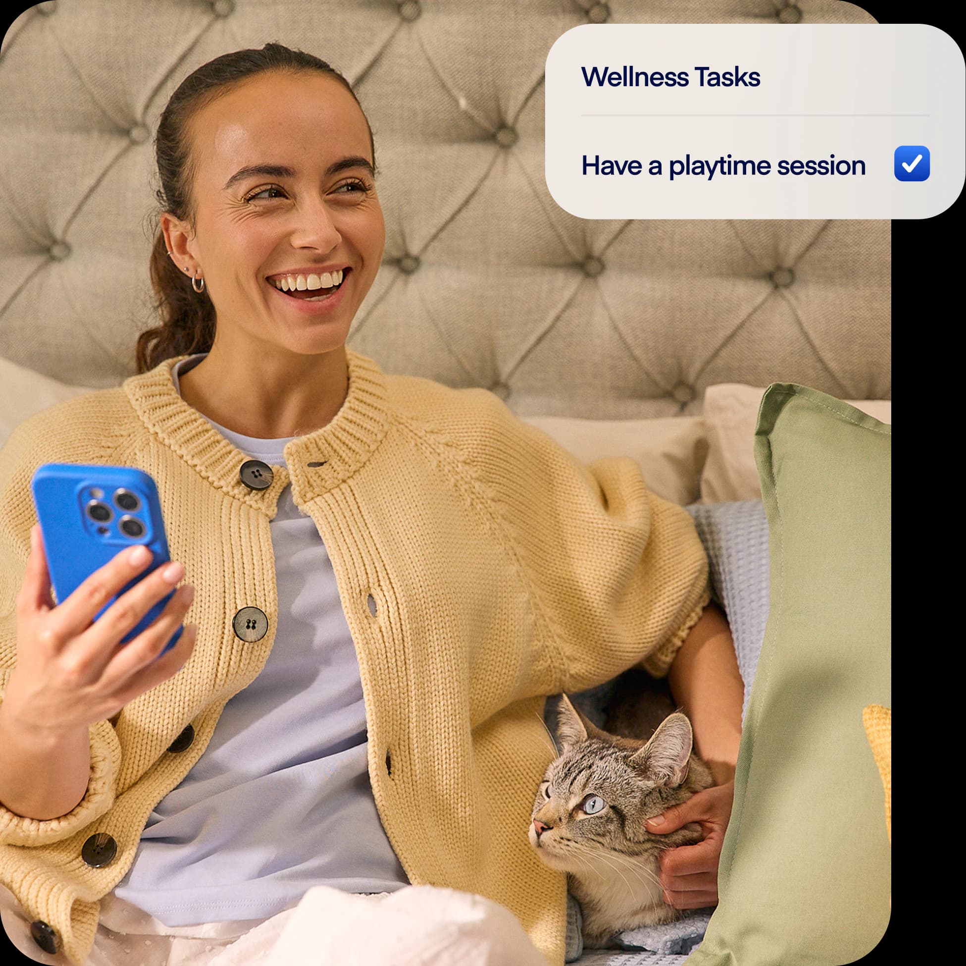 NEW-photo-tasks-overlay-cat