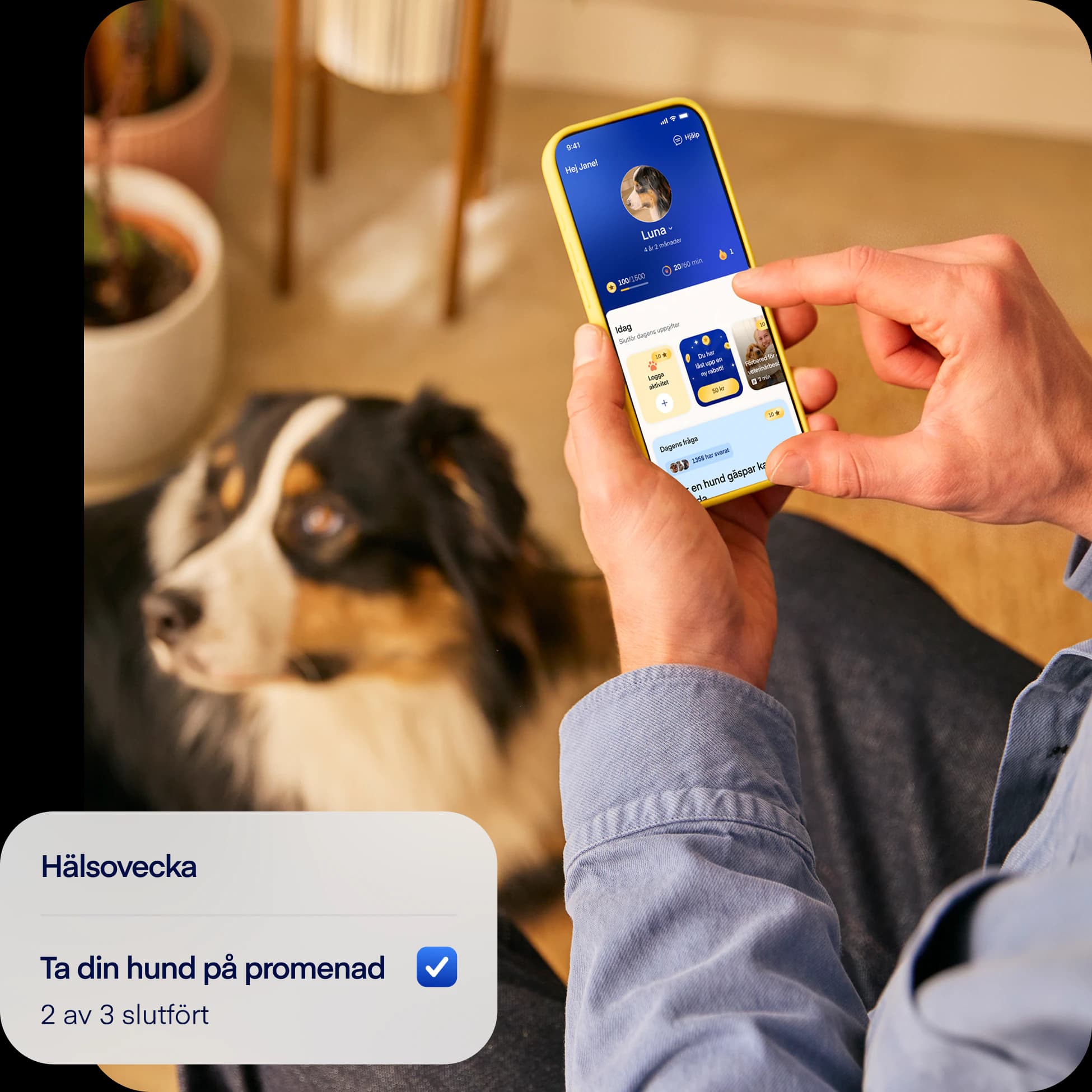 SE-NEW-photo-tasksoverlay-dog2