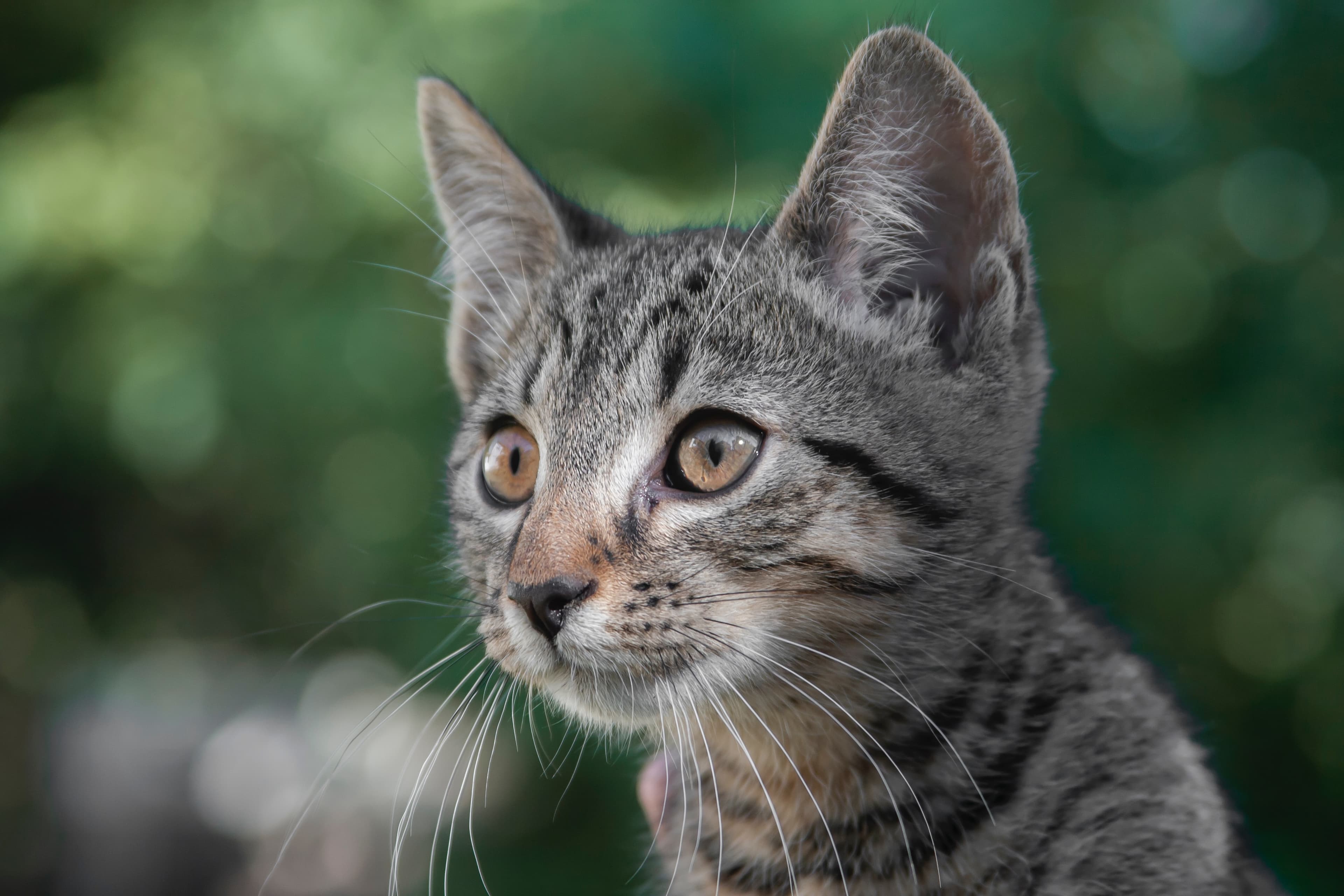 https://unsplash.com/photos/fd3oZD6y9po