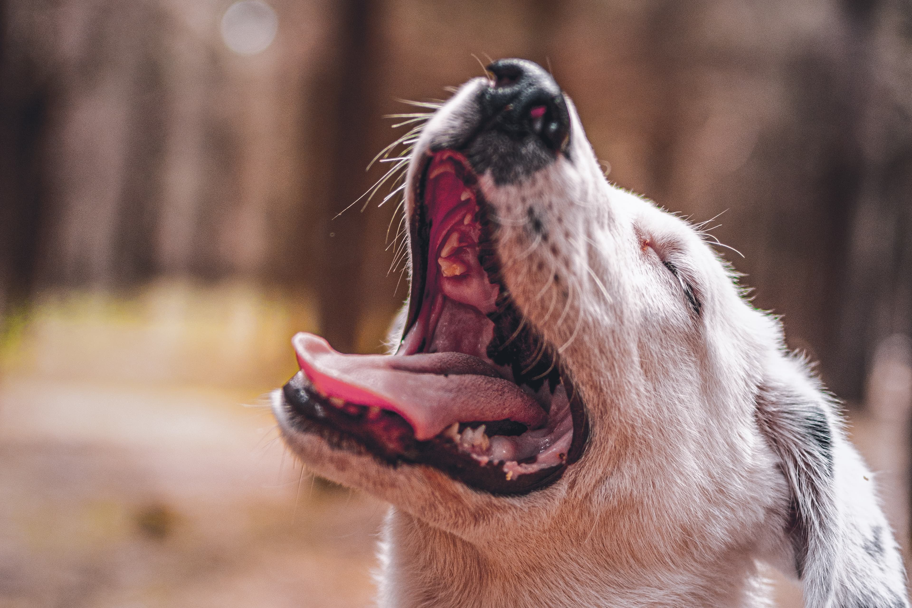 https://unsplash.com/photos/prThTPKhaMc